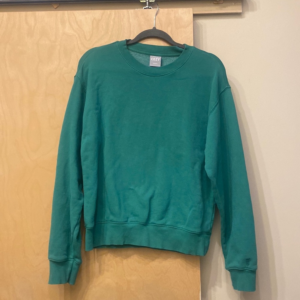 Aritzia TNA crewneck sweatshirt